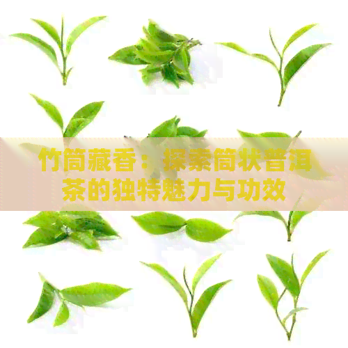 竹筒藏香：探索筒状普洱茶的独特魅力与功效