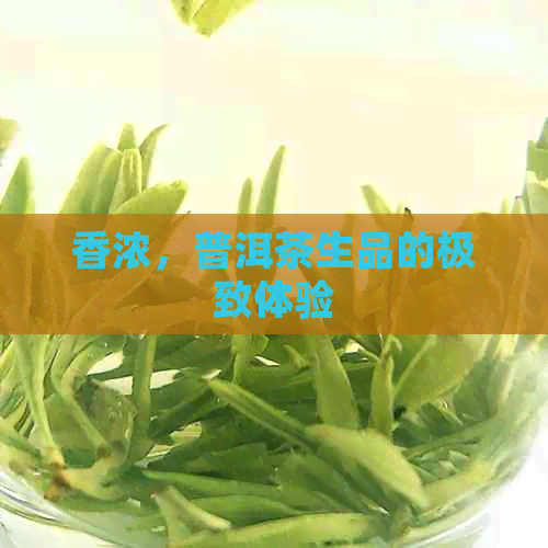 香浓，普洱茶生品的极致体验