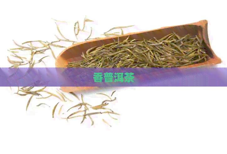 香普洱茶