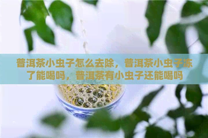 普洱茶小虫子怎么去除，普洱茶小虫子冻了能喝吗，普洱茶有小虫子还能喝吗