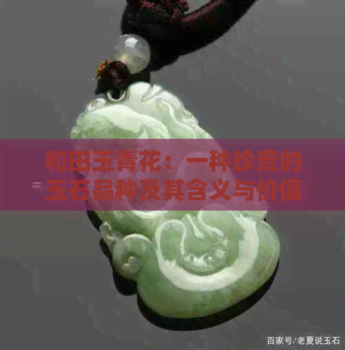 和田玉青花：一种珍贵的玉石品种及其含义与价值