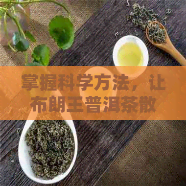 掌握科学方法，让布朗王普洱茶散发迷人香气与醇厚口感的技巧