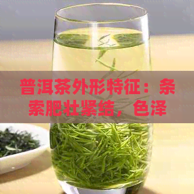 普洱茶外形特征：条索肥壮紧结，色泽乌褐或褐红，香气独特。