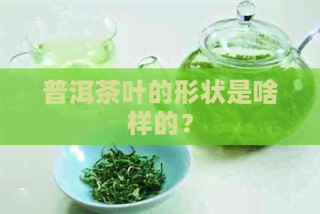 普洱茶叶的形状是啥样的？