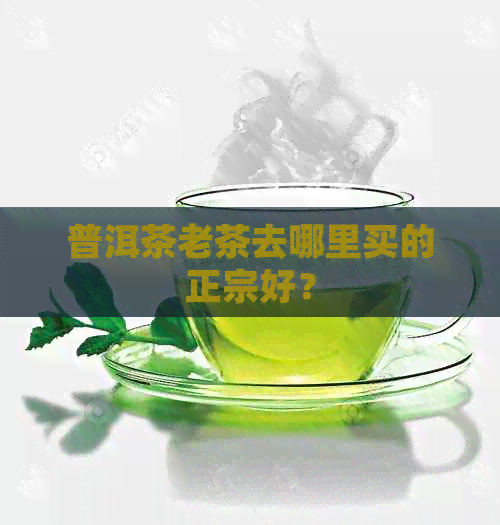 普洱茶老茶去哪里买的正宗好？