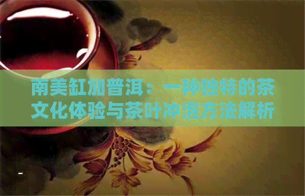 南美缸加普洱：一种独特的茶文化体验与茶叶冲泡方法解析