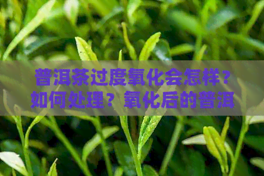 普洱茶过度氧化会怎样？如何处理？氧化后的普洱茶能喝吗？