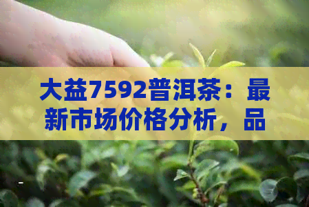 大益7592普洱茶：最新市场价格分析，品质与收藏价值的探讨