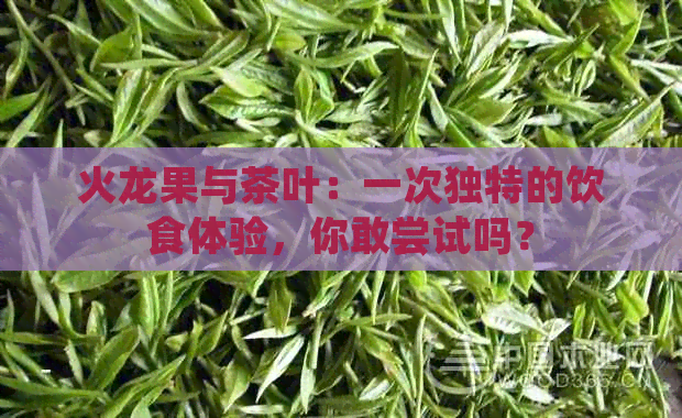 火龙果与茶叶：一次独特的饮食体验，你敢尝试吗？