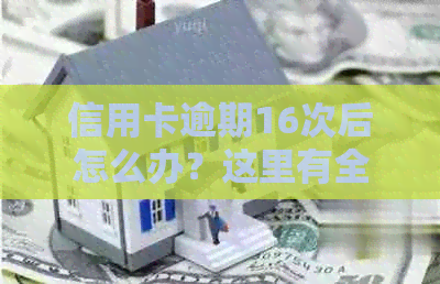 信用卡逾期16次后怎么办？这里有全面解决方案！