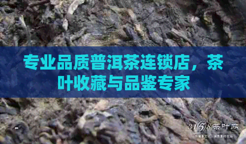 专业品质普洱茶连锁店，茶叶收藏与品鉴专家