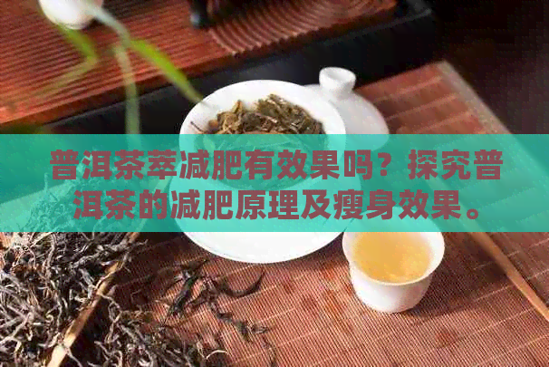 普洱茶萃减肥有效果吗？探究普洱茶的减肥原理及瘦身效果。