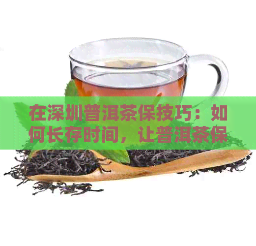 在深圳普洱茶保技巧：如何长存时间，让普洱茶保持新