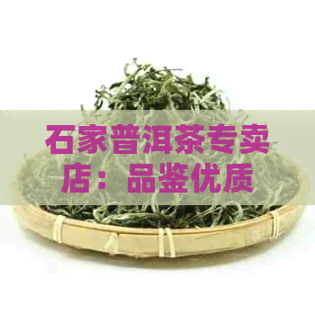 石家普洱茶专卖店：品鉴优质普洱茶，体验专业泡茶技艺，购买批发价格优