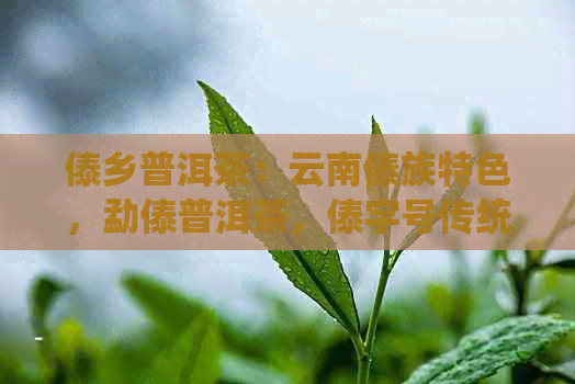 傣乡普洱茶：云南傣族特色，勐傣普洱茶，傣字号传统佳品