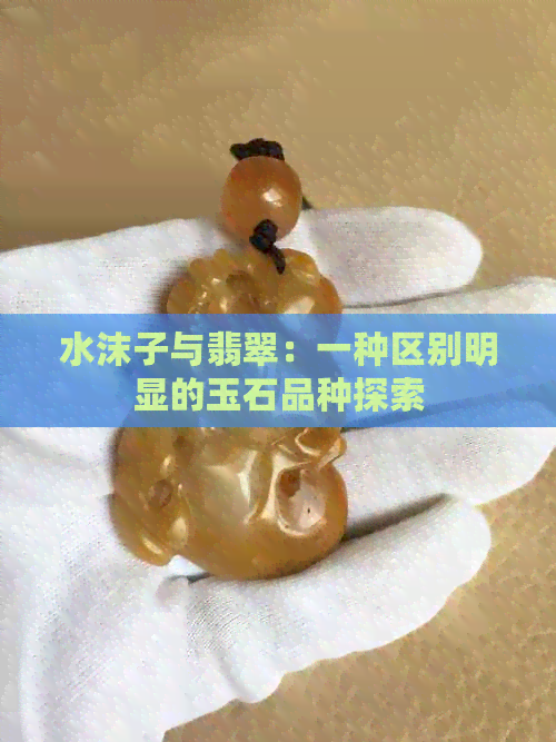 水沫子与翡翠：一种区别明显的玉石品种探索