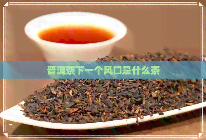 普洱茶下一个风口是什么茶