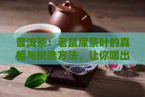 普洱茶：老鼠屎茶叶的真相与挑选方法，让你喝出好品质