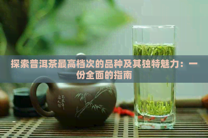 探索普洱茶更高档次的品种及其独特魅力：一份全面的指南