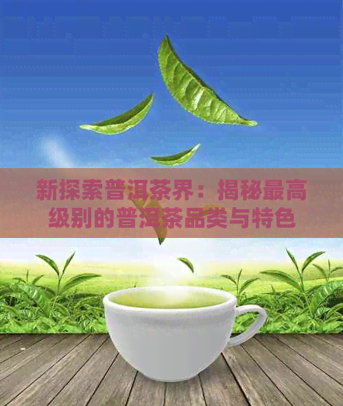 新探索普洱茶界：揭秘更高级别的普洱茶品类与特色