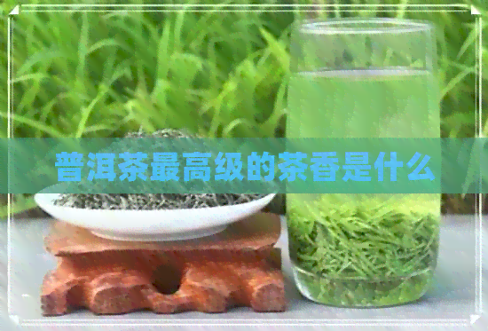 普洱茶更高级的茶香是什么