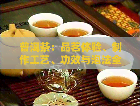 普洱茶：品茗体验、制作工艺、功效与泡法全面解析