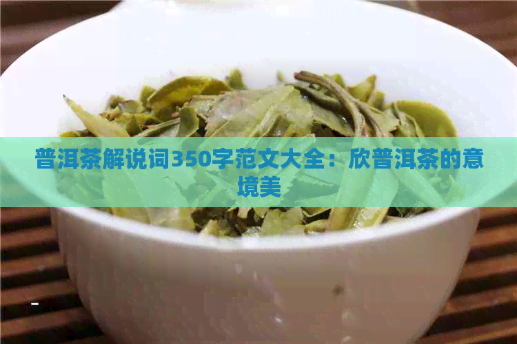 普洱茶解说词350字范文大全：欣普洱茶的意境美