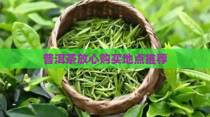 普洱茶放心购买地点推荐