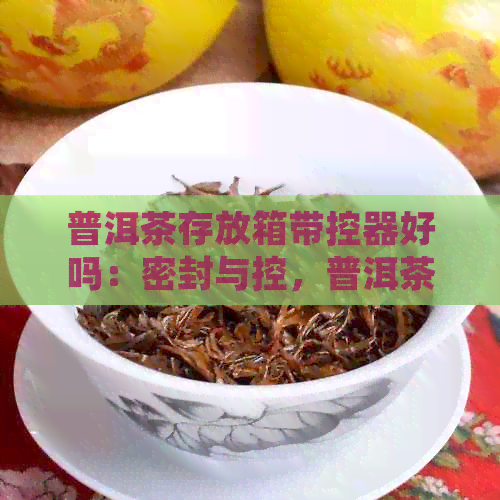 普洱茶存放箱带控器好吗：密封与控，普洱茶的理想存方案