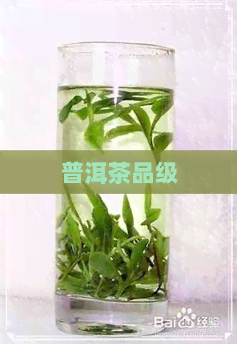 普洱茶品级