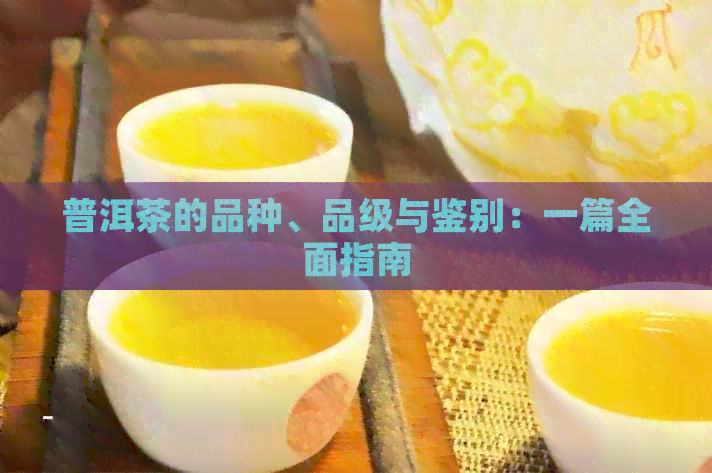 普洱茶的品种、品级与鉴别：一篇全面指南