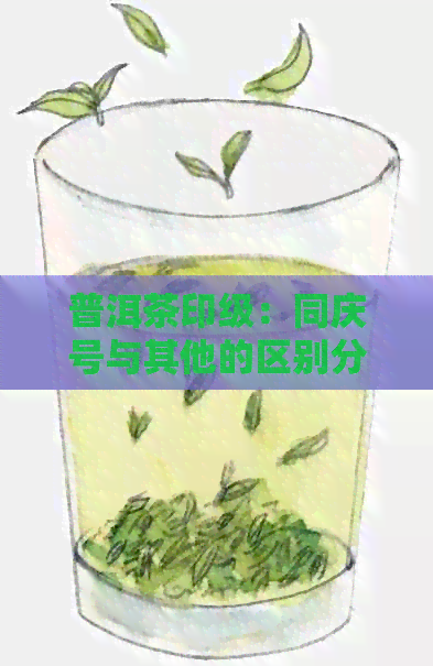 普洱茶印级：同庆号与其他的区别分析