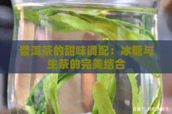 普洱茶的甜味调配：冰糖与生茶的完美结合