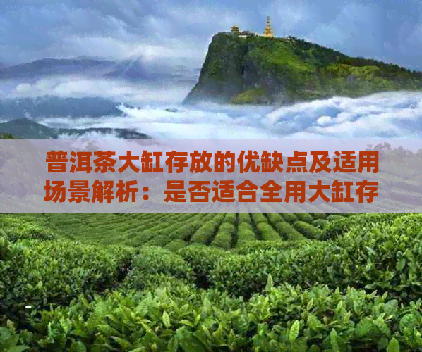 普洱茶大缸存放的优缺点及适用场景解析：是否适合全用大缸存放？