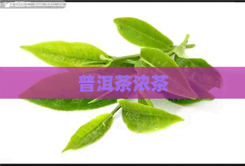 普洱茶浓茶