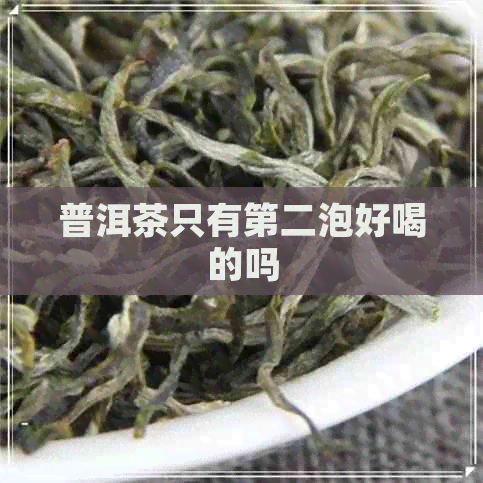 普洱茶只有第二泡好喝的吗