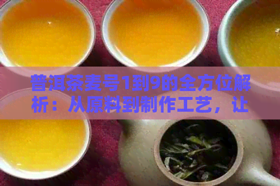 普洱茶麦号1到9的全方位解析：从原料到制作工艺，让你对这款茶了如指掌