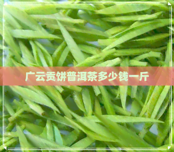 广云贡饼普洱茶多少钱一斤