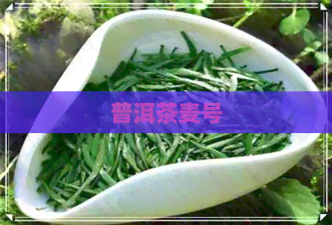 普洱茶麦号