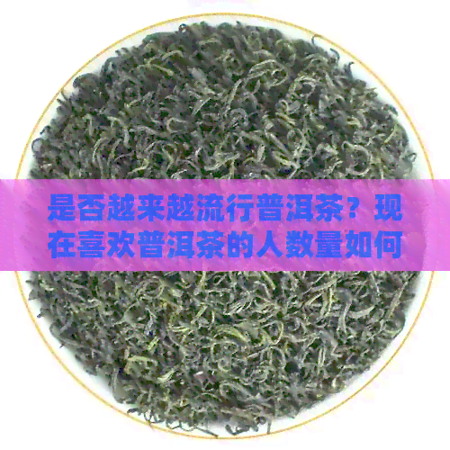 是否越来越流行普洱茶？现在喜欢普洱茶的人数量如何增长？