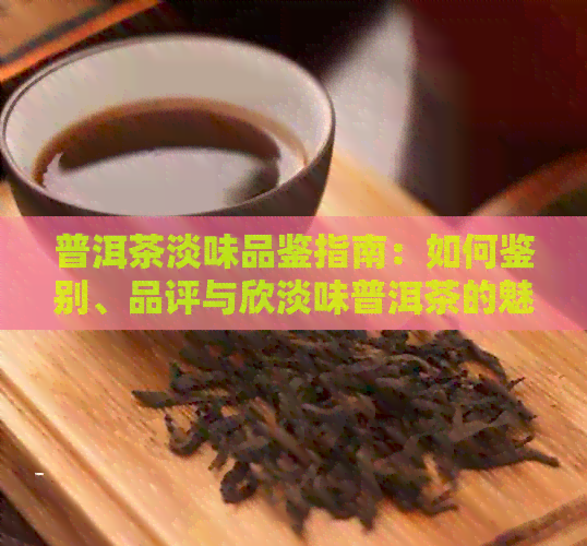 普洱茶淡味品鉴指南：如何鉴别、品评与欣淡味普洱茶的魅力