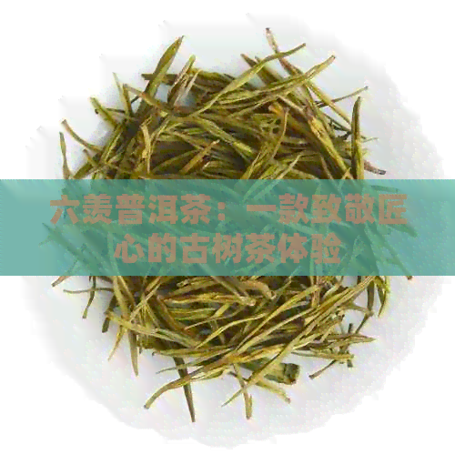 六羡普洱茶：一款致敬匠心的古树茶体验