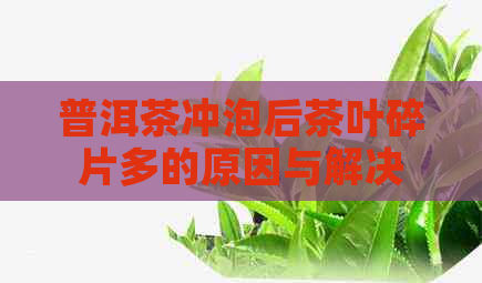 普洱茶冲泡后茶叶碎片多的原因与解决方法