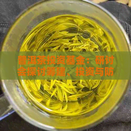 普洱茶投资基金：研讨会探讨筹建、投资与防范骗局