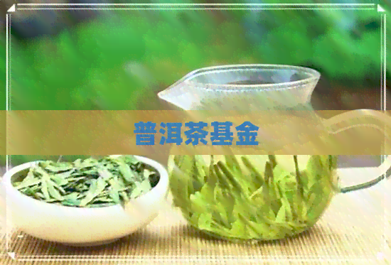 普洱茶基金