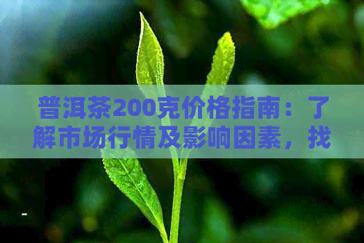 普洱茶200克价格指南：了解市场行情及影响因素，找到最适合您的茶叶