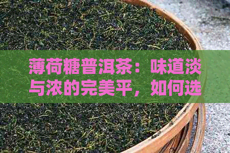 薄荷糖普洱茶：味道淡与浓的完美平，如何选择适合自己的口味？