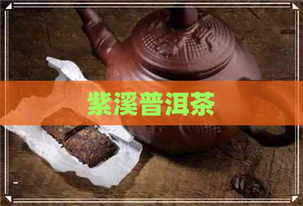 紫溪普洱茶