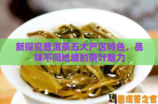 新探究普洱茶五大产区特色，品味不同地域的茶叶魅力