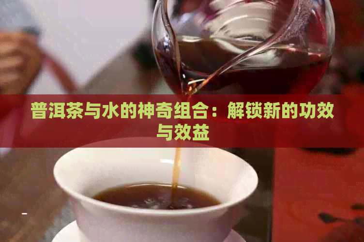 普洱茶与水的神奇组合：解锁新的功效与效益